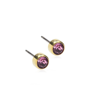 Load image into Gallery viewer, Gold Titanium Bezel Earrings
