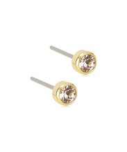 Load image into Gallery viewer, Gold Titanium Bezel Earrings
