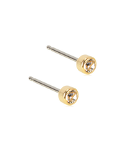 Load image into Gallery viewer, Gold Titanium Bezel Earrings
