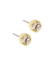 Load image into Gallery viewer, Gold Titanium Bezel Earrings
